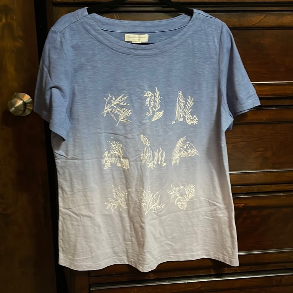 Christopher & banks petite XL. Light blue women’s t-shirt